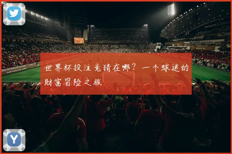 世界杯投注竞猜在哪?一个球迷的财富冒险之旅