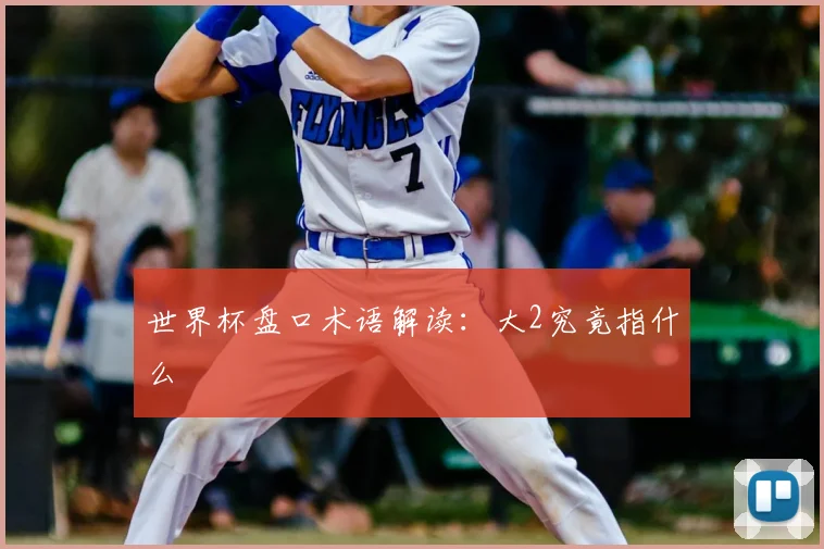 世界杯盘口术语解读：大2究竟指什么