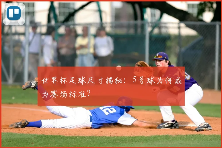 世界杯足球尺寸揭秘:5号球为何成为赛场标准?