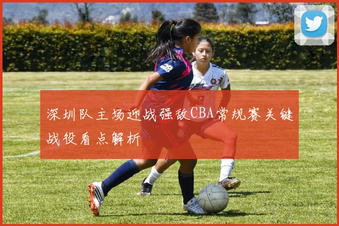 深圳队主场迎战强敌CBA常规赛关键战役看点解析