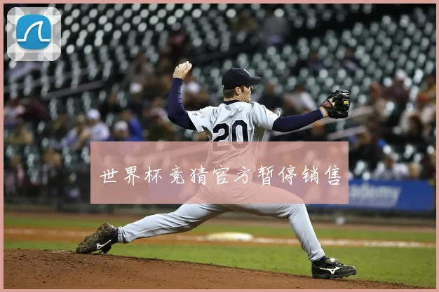 世界杯竞猜官方暂停销售