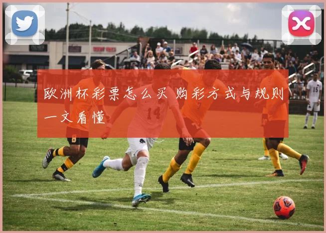 欧洲杯彩票怎么买 购彩方式与规则一文看懂