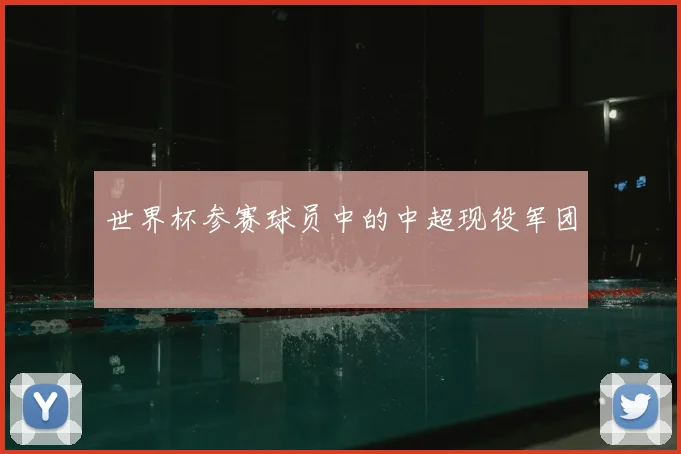 世界杯参赛球员中的中超现役军团