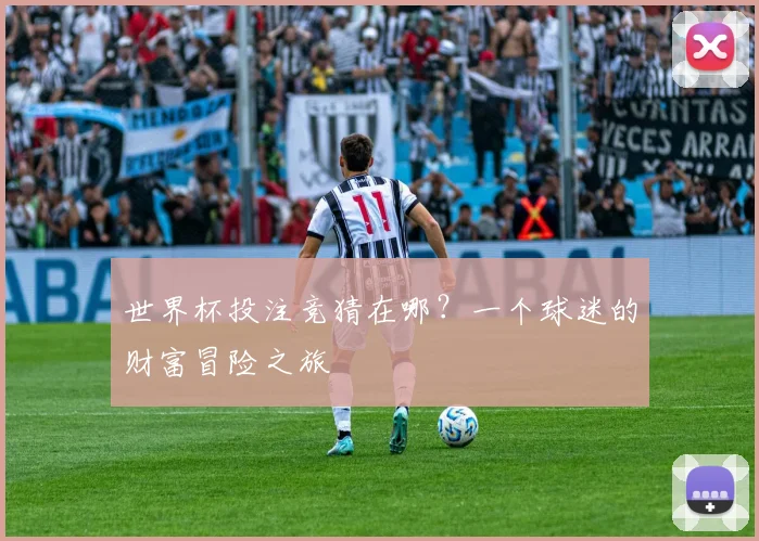 世界杯投注竞猜在哪？一个球迷的财富冒险之旅