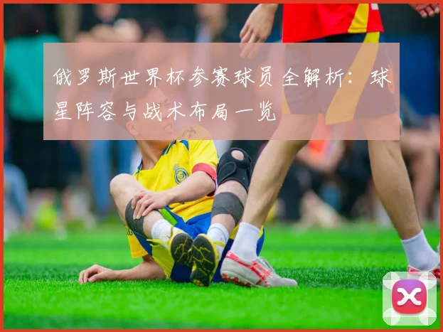 俄罗斯世界杯参赛球员全解析：球星阵容与战术布局一览