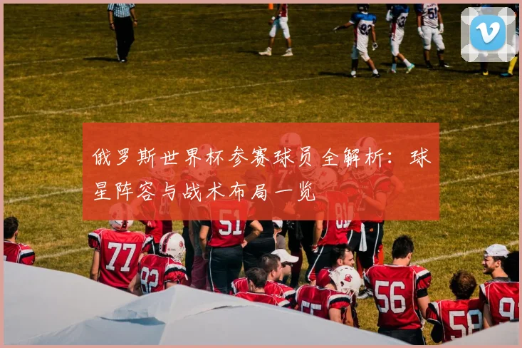 俄罗斯世界杯参赛球员全解析：球星阵容与战术布局一览