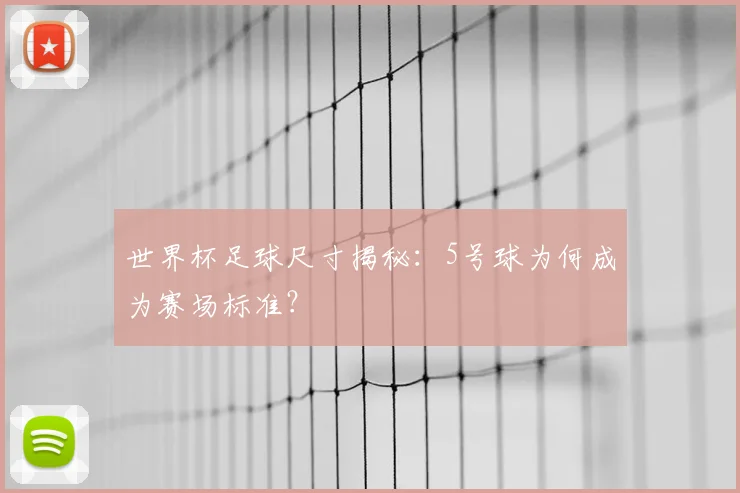 世界杯足球尺寸揭秘:5号球为何成为赛场标准?