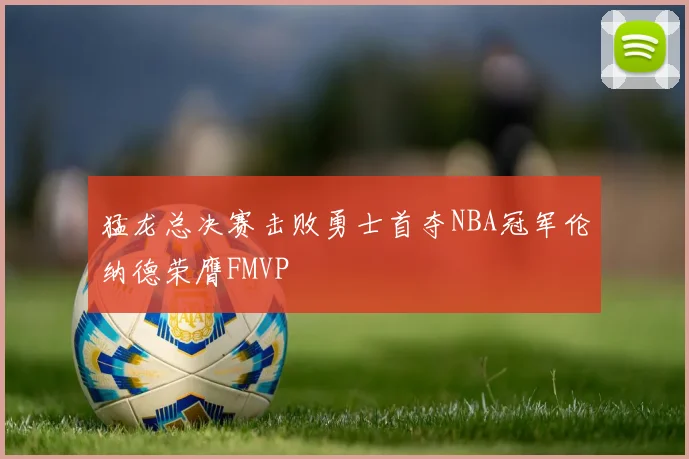猛龙总决赛击败勇士首夺NBA冠军伦纳德荣膺FMVP