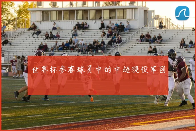 世界杯参赛球员中的中超现役军团