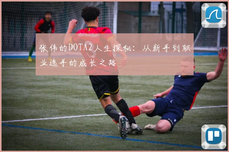 张伟的DOTA2人生探秘：从新手到职业选手的成长之路