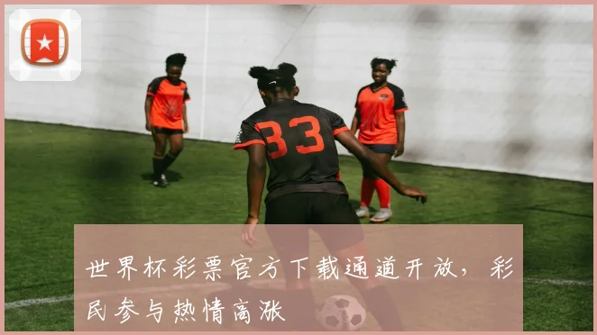 世界杯彩票官方下载通道开放，彩民参与热情高涨