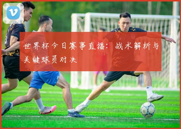 世界杯今日赛事直播:战术解析与关键球员对决