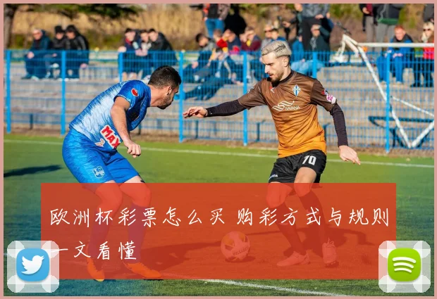 欧洲杯彩票怎么买 购彩方式与规则一文看懂